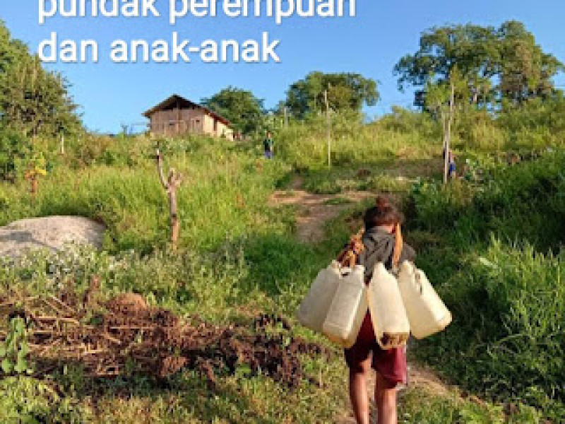Demi Bisnis Wisata, Jokowi Ubah 400 Hektare Hutan di Labuan Bajo, Doni Parera: Lawan
