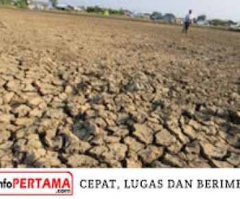 Ada 11 Wilayah NTT Berpotensi Kekeringan dan Karhutla Selama Kemerau