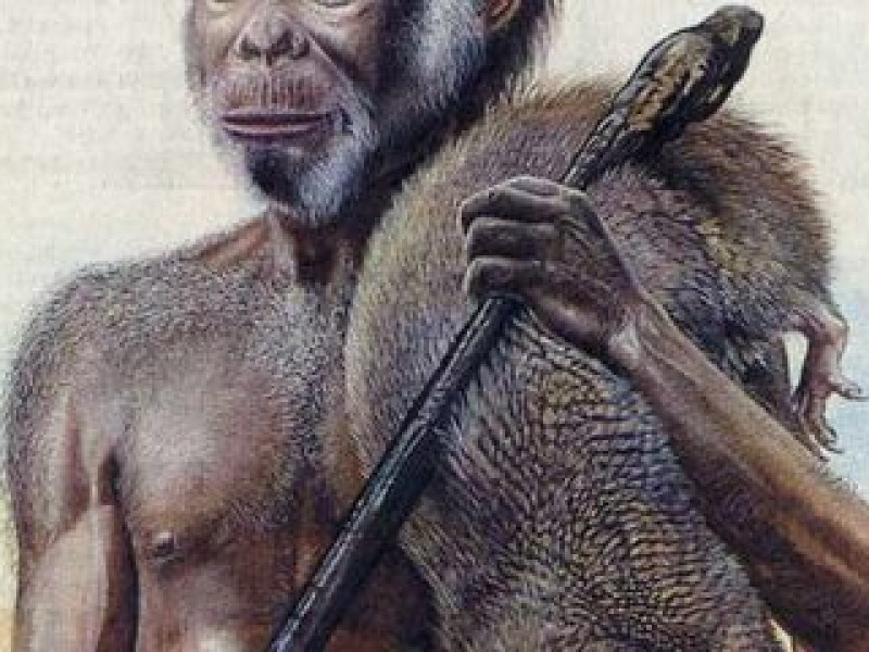 Mama Flo Berteman dengan Papagomys Armandvillei di Liang Bua