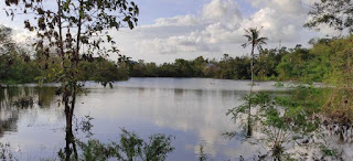 Muncul danau baru