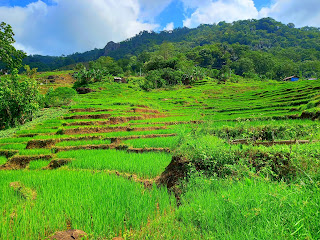 Gua Liang Woja