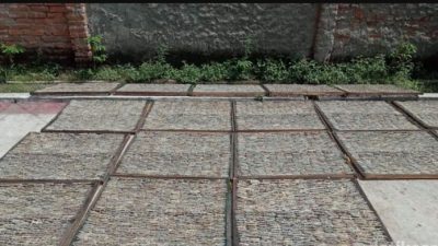 bisnis cecak kering