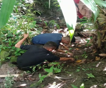 Jaga Mata Air, Mahasiswa KKN-MM UNIPA Lakukan Penamaman Bambu