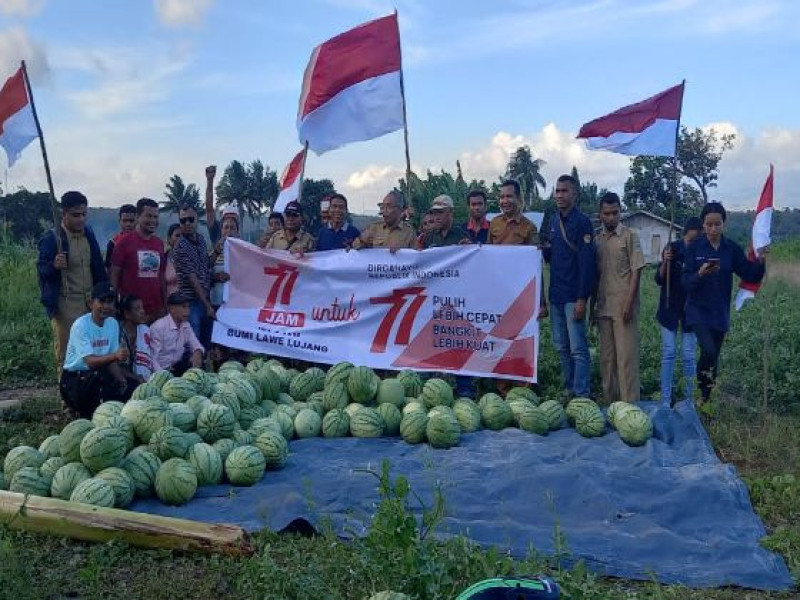 Petani