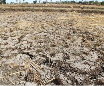 Investasi Kotor Ancaman Serius Masa Depan Petani di NTT