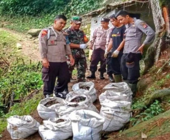 CD Wanita Diduga Milik Peziarah Berserakan di Nagara Padang