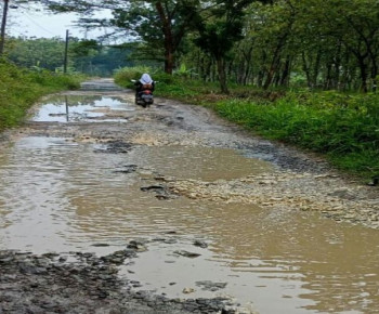 Jalan Arah Kepoh Rusak Parah, Kondisinya Mirip Kubangan Kerbau