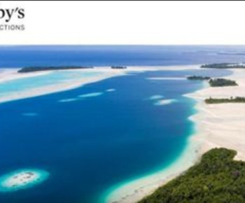 Situs Asing Bakal Melelang Cagar Alam Widi di Halmahera Selatan Tuk Jadikan Resor