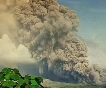 Aktif Lagi, Gunung Semeru Muntahkan Awan Panas hingga 1.5 Kilo Meter