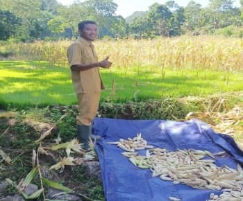 Begini Cara Kades Literman Entaskan Stunting di Desa Watu Arus