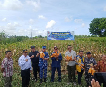 Panen Jagung bersama Danlanud El Tari, Wagub Nae Soi Beri Apresiasi