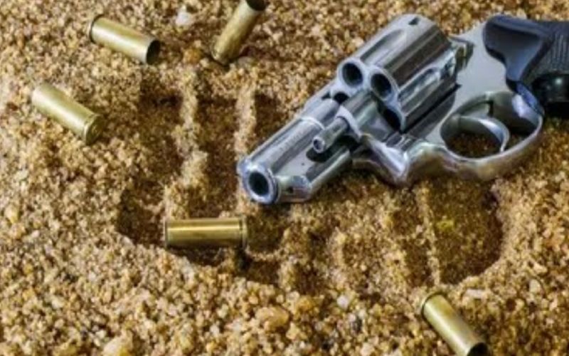 Pistol Polisi