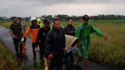 Petir