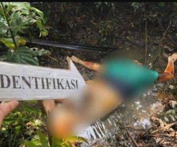 Heboh Warga Kupang Temukan Wanita Tanpa Kepala dan Bayi Nyangkut di Pohon Mangrove