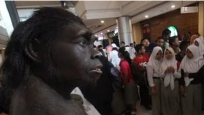 Nenek Moyang Bangsa Indonesia