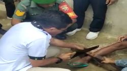 Kabid P2P Potong Papan Pasung