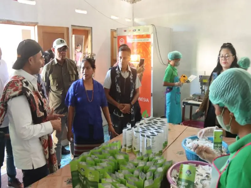 PT Marada Kelor Sumba