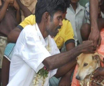 Dua Bocah Perempuan di India Dikawinkan dengan Anjing Jantan