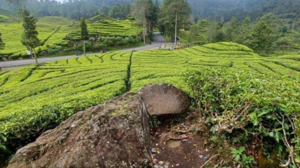 Pemeran Video Syur