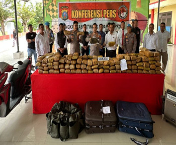 Mantap, Polresta Deli Serdang Ungkap Peredaran 173 Kg Ganja Kering