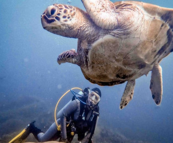 Parapuar, Wisata Unggulan Baru di Labuan Bajo