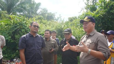Staf Khusus Presiden
