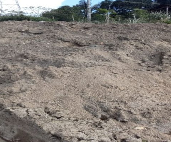 Parah, Pembangunan Drainase PT. Flores Konstruksindo Diduga Gunakan Pasir Tanah