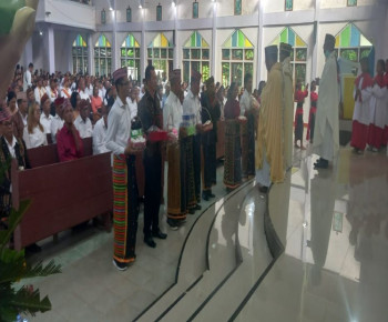 Romo Alfons Segar, Pr: Dewan Pastoral dan Keuangan Paroki Dipilih Untuk Melayani Umat Allah dalam Kasih