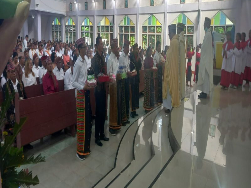 Romo Alfons Segar, Pr: Dewan Pastoral dan Keuangan Paroki Dipilih Untuk Melayani Umat Allah dalam Kasih