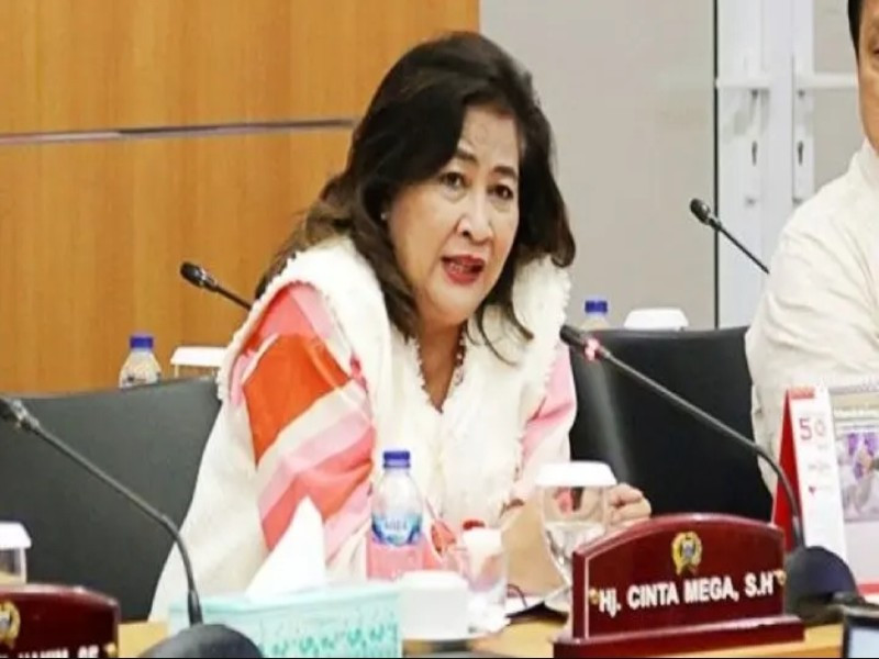 Cinta Mega