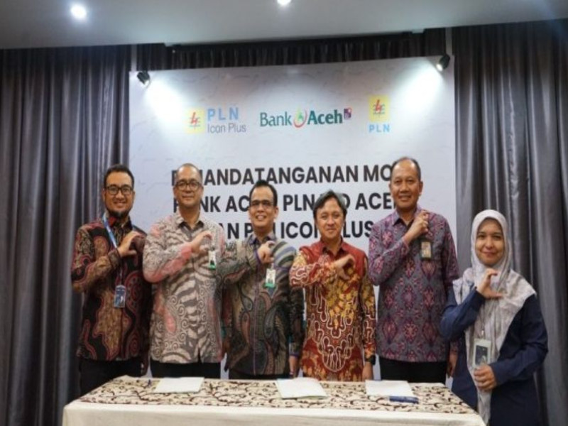 PLN Icon Plus