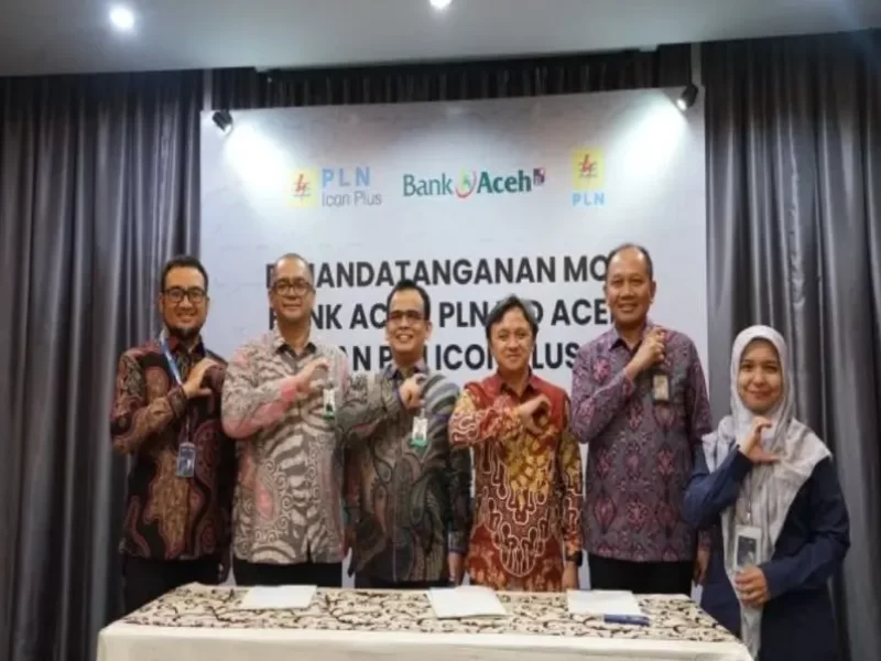 PLN Icon Plus