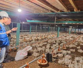 Pertanian Modern Berbasis Listrik Kian Berkembang, Program Electrifying Agriculture PLN Tumbuh 22,28 Persen