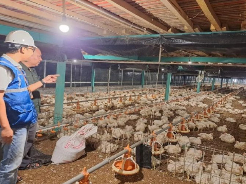 Electrifying Agriculture