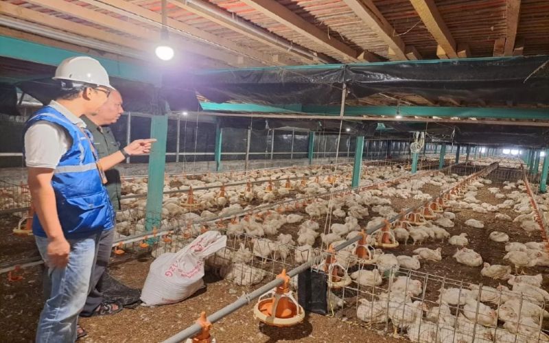 Electrifying Agriculture