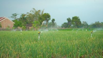 Electrifying Agriculture