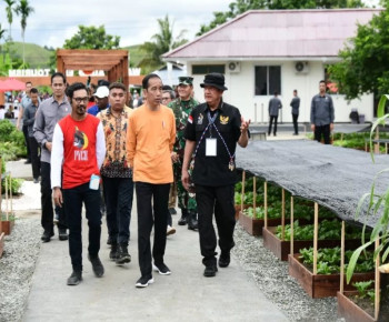 Di Papua, Presiden RI Tinjau Desa Berdaya Taman Inspirasi Waibu Binaan PLN