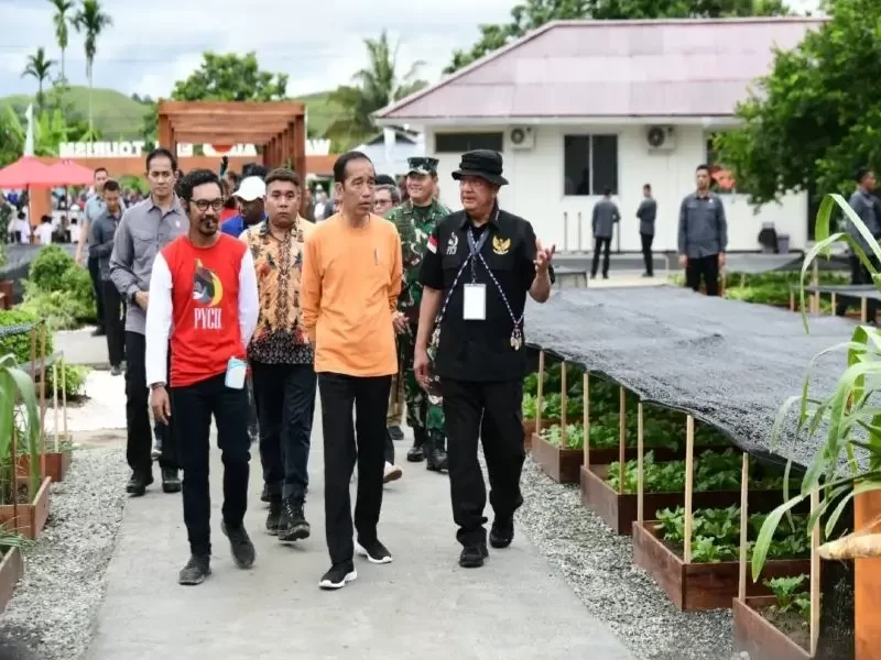 Di Papua, Presiden RI Tinjau Desa Berdaya Taman Inspirasi Waibu Binaan PLN