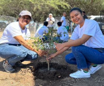 Gandeng BCL, PLN Pulihkan Vegetasi di Pantai Oesina Kawasan PLTU Timor 1
