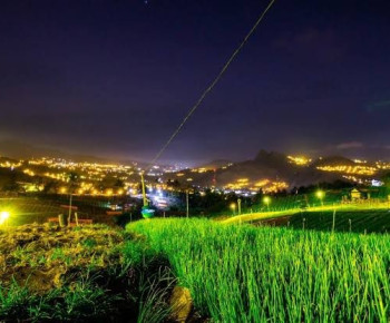 Program Electrifying Agriculture PLN Sukses Dukung Produktivitas 6.167 Petani di 197 Lokasi di Indonesia