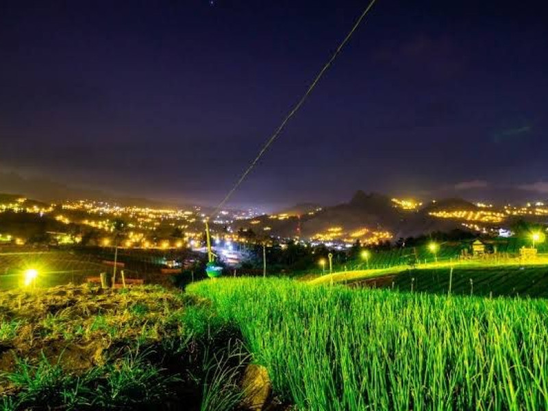 Program Electrifying Agriculture PLN Sukses Dukung Produktivitas 6.167 Petani di 197 Lokasi di Indonesia