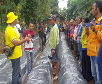 PLN UIP Nusra Gelar Pelatihan Hortikultura untuk 50 Warga di Poco Leok