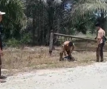 Viral Video Perkelahian Siswa SMP di Sergai, Kakek Korban: Biar Proses Hukum yang Berjalan
