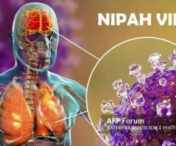 Mengenal Virus Nipah yang muncul di Malaysia, Ancaman bagi Peternak Babi
