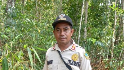 Bambu