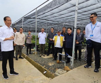 Dampingi Kunjungan Presiden di IKN, Dirut PLN Siap Penuhi Kebutuhan Listrik dari Energi Bersih