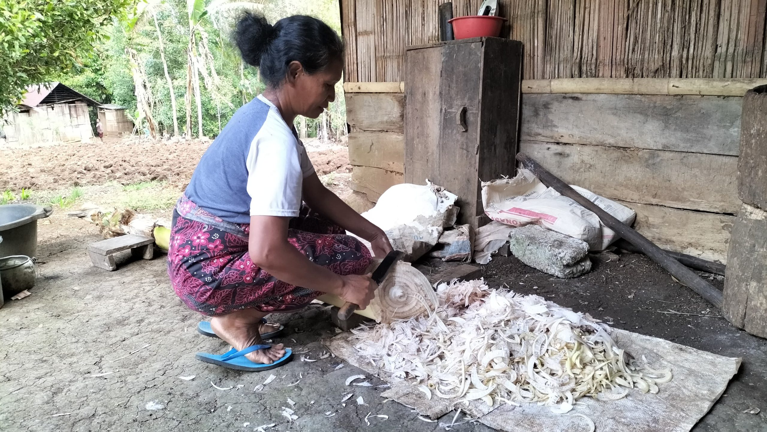 Bantuan Babi