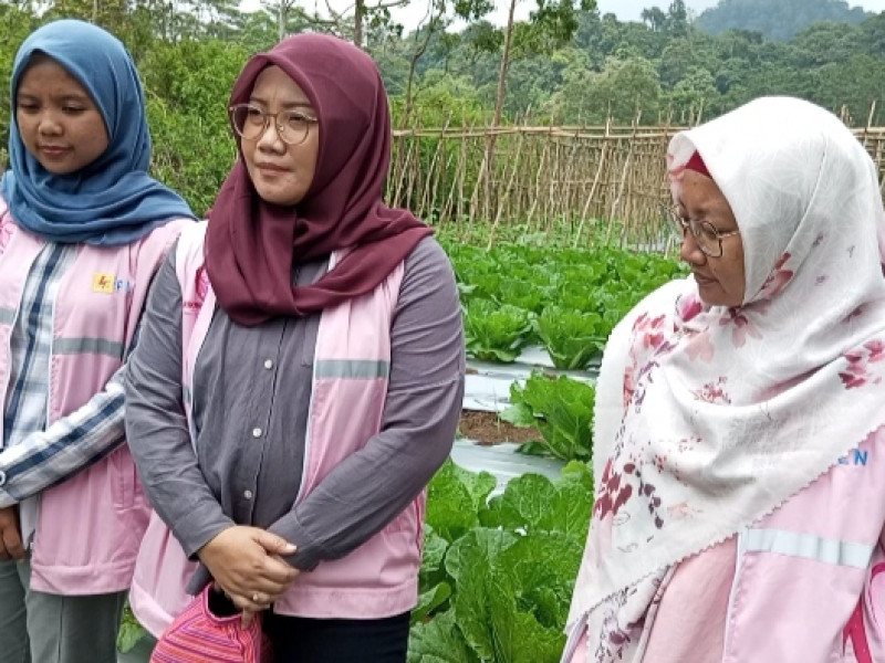 Lewat Program Pemberdayaan Ekonomi dan Penurunan Angka Stunting di NTT Hantar Uky Hapsari Raih Pos Kupang Award