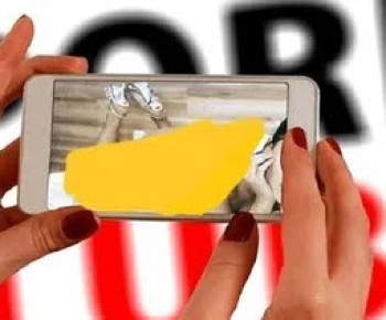 Honorer Bapenda Banten Dipecat Usai Video Mesumnya Beredar