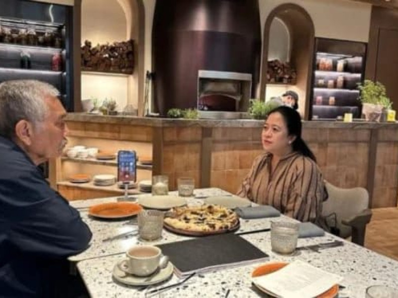 Puan Bertemu Luhut di Singapura, Pakar Cium Strategi Injak Pedal Rem